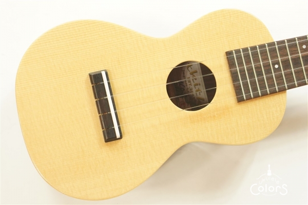 ECO-S - Spruce Top / Rosewood Side&Back